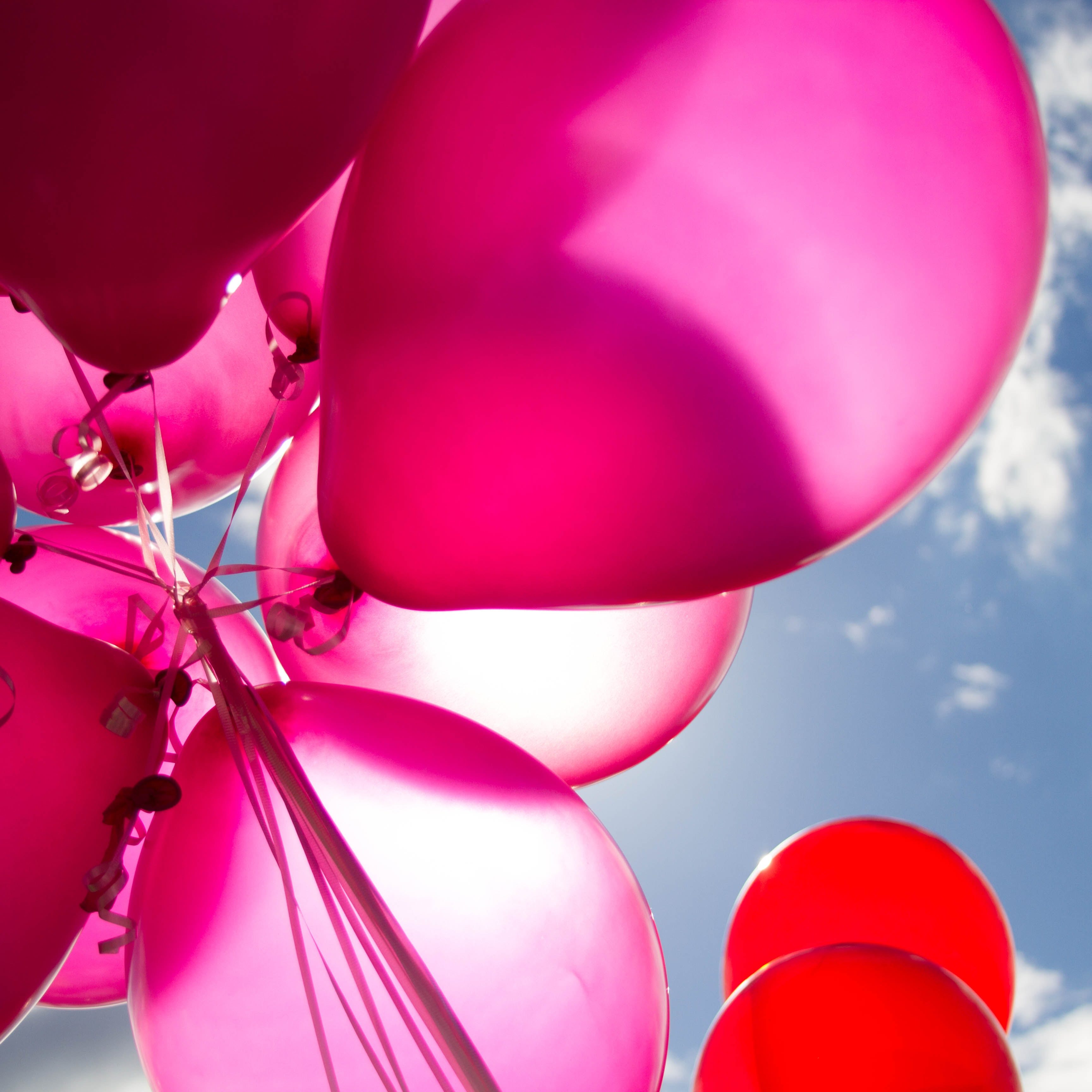 balloons-birthday-bright-226718